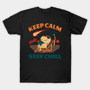 Keep Calm and Stay Chill T-Shirt